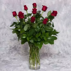 Roses in a cylidner vase