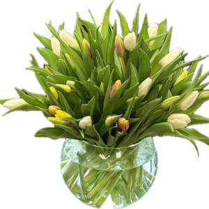 Tulip Sphere